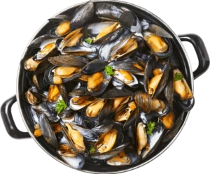 MOULES_CREME_volonté