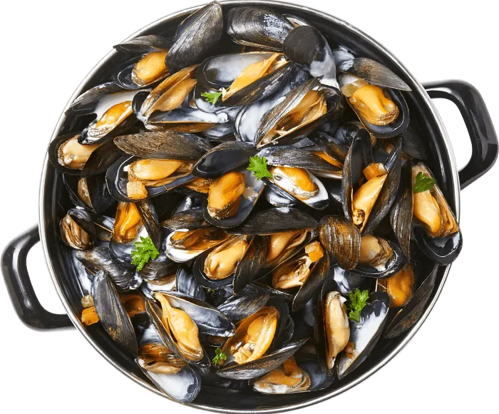 MOULES_CREME_volonté