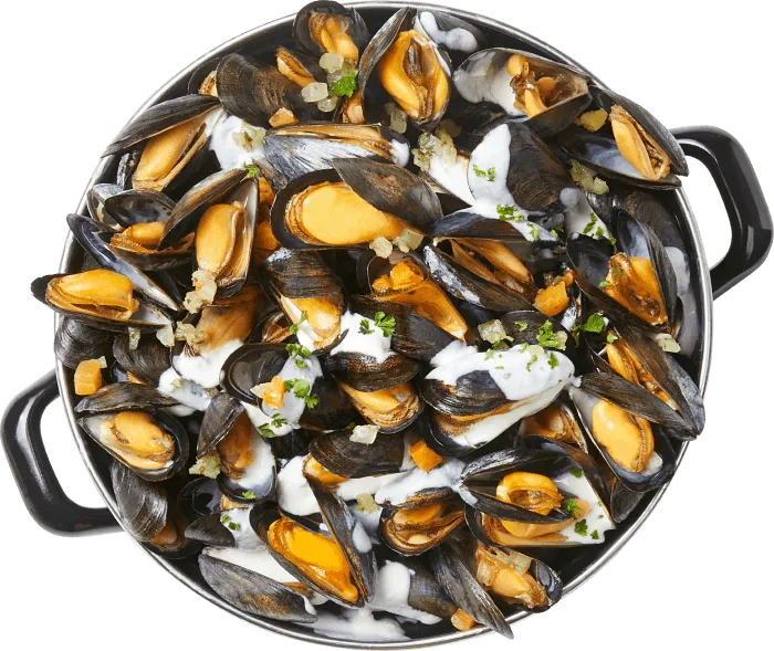 MOULES_ROQUEFORT_volonté