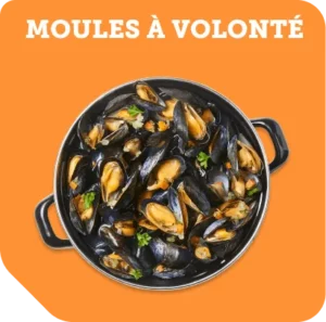 moules_avolonte_msc